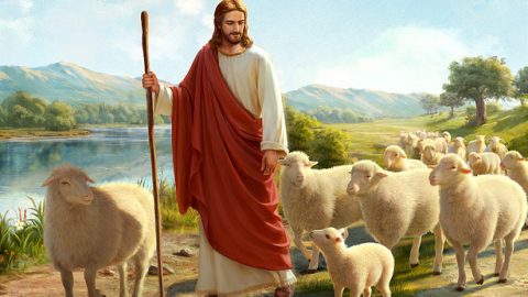 De Heer Jezus zei: “Mijn schapen luisteren naar mijn stem” (Joh. 10:27). De Heer terugkeert om woorden uit te spreken om Zijn schapen te roepen. Bij het wachten op de komst van de Heer moeten we vooral Zijn stem proberen te horen. Maar nu is onze grootste moeilijkheid dat we niet weten hoe we naar de stem van de Heer moeten luisteren. We zijn ook niet in staat om onderscheid te maken tussen wat Gods stem is en wat de stem van de mens is. Alstublieft, communiceer met ons over hoe we voor eens en voor altijd zeker kunnen zijn van de stem van de Heer.