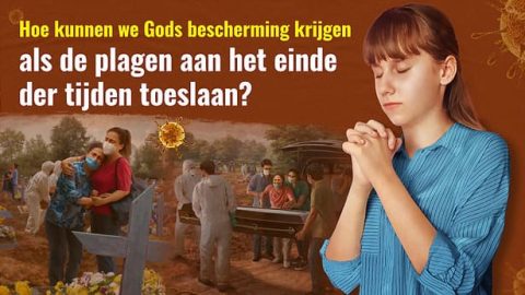 Hoe kunnen we Gods bescherming krijgen als de plagen aan het einde der tijden toeslaan?