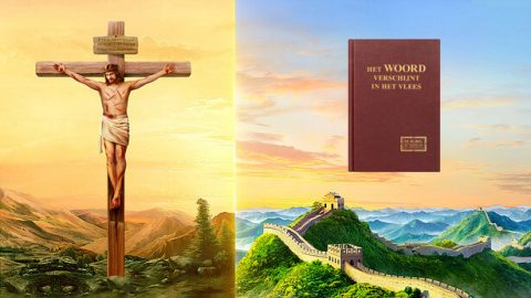 De verschillen tussen het verlossingswerk van de Heer Jezus en het oordeelswerk van Almachtige God in de laatste dagen