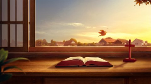 De Bijbel is een getuigenis van Gods werk, en heeft de mensheid zo veel goeds gebracht. Door de Bijbel te lezen, gaan we God erkennen als de Schepper van alle dingen, gaan we leren over Gods almacht en over hoe groot Zijn daden zijn. Aangezien de Bijbel een verslag van Gods woord is, en de getuigenis van de mens, waarom kunnen we het eeuwige leven dan niet ontvangen door de Bijbel te lezen? waarom is de weg naar het eeuwige leven dan niet te vinden in de Bijbel?